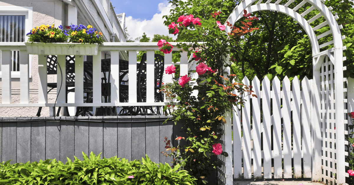 Egy gyönyörű, fehérre festett kerti kapu és lugas, melyet különféle virágok, köztük rózsák és más virágok díszítenek, bemutatva egy otthoni szőlőlugas alternatíváját. 